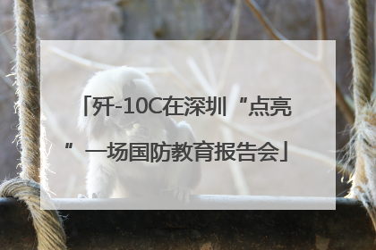 歼-10C在深圳“点亮”一场国防教育报告会