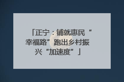 正宁：铺就惠民“幸福路”跑出乡村振兴“加速度”