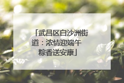 武昌区白沙洲街道：浓情迎端午 粽香送安康