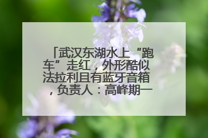 武汉东湖水上“跑车”走红，外形酷似法拉利且有蓝牙音箱，负责人：高峰期一两百人排队