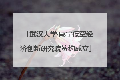 武汉大学·咸宁低空经济创新研究院签约成立