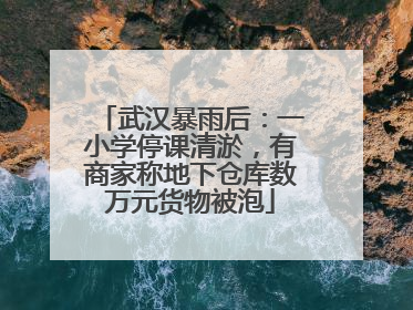武汉暴雨后：一小学停课清淤，有商家称地下仓库数万元货物被泡