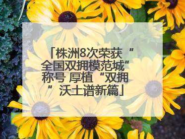 株洲8次荣获“全国双拥模范城”称号 厚植“双拥”沃土谱新篇