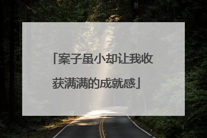 案子虽小却让我收获满满的成就感