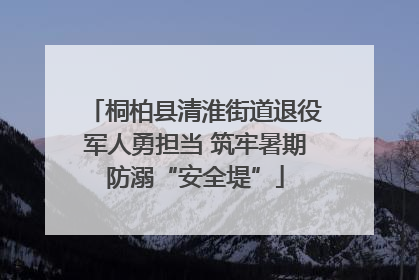 桐柏县清淮街道退役军人勇担当 筑牢暑期防溺“安全堤”