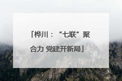 桦川：“七联”聚合力 党建开新局