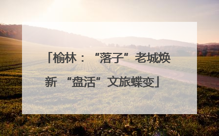 榆林：“落子”老城焕新 “盘活”文旅蝶变