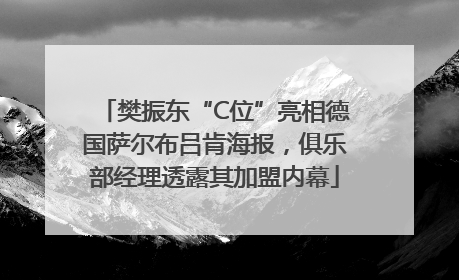 樊振东“C位”亮相德国萨尔布吕肯海报，俱乐部经理透露其加盟内幕
