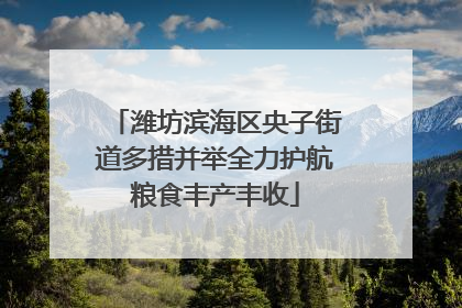 潍坊滨海区央子街道多措并举全力护航粮食丰产丰收