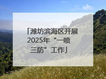 潍坊滨海区开展2025年“一喷三防”工作