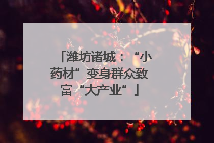 潍坊诸城：“小药材”变身群众致富“大产业”