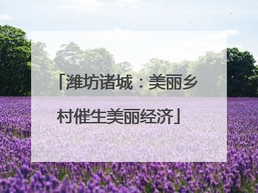 潍坊诸城：美丽乡村催生美丽经济