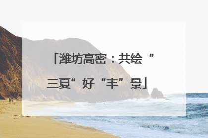 潍坊高密：共绘“三夏”好“丰”景