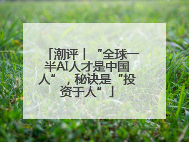 潮评丨“全球一半AI人才是中国人”，秘诀是“投资于人”