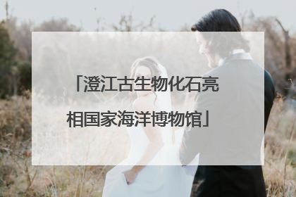 澄江古生物化石亮相国家海洋博物馆