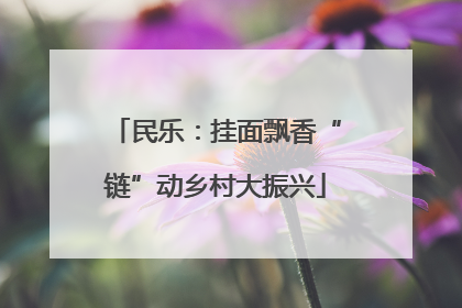 民乐：挂面飘香“链”动乡村大振兴