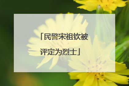 民警宋祖钦被评定为烈士