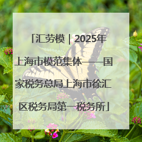 汇劳模｜2025年上海市模范集体——国家税务总局上海市徐汇区税务局第一税务所