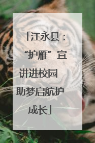 江永县：“护雁”宣讲进校园 助梦启航护成长