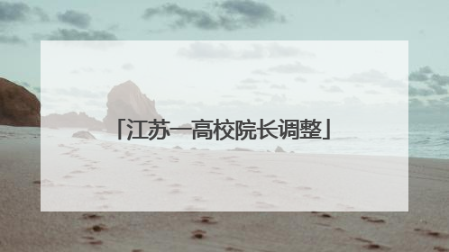 江苏一高校院长调整