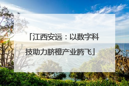 江西安远：以数字科技助力脐橙产业腾飞