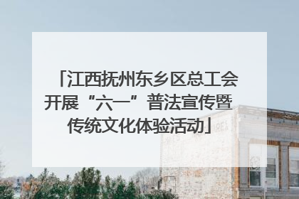 江西抚州东乡区总工会开展“六一”普法宣传暨传统文化体验活动