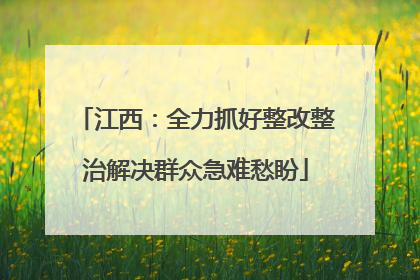 江西：全力抓好整改整治解决群众急难愁盼