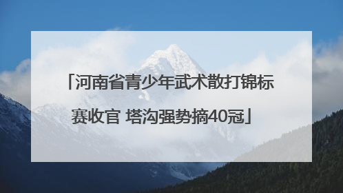河南省青少年武术散打锦标赛收官 塔沟强势摘40冠
