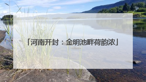 河南开封：金明池畔荷韵浓