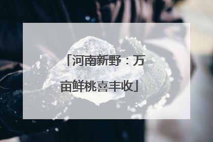 河南新野：万亩鲜桃喜丰收
