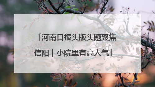河南日报头版头题聚焦信阳｜小院里有高人气