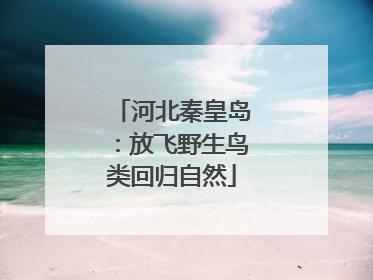 河北秦皇岛：放飞野生鸟类回归自然