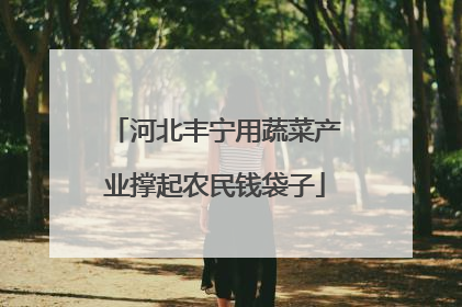 河北丰宁用蔬菜产业撑起农民钱袋子