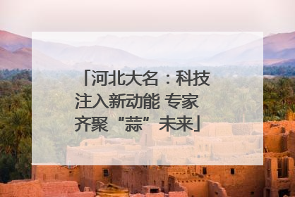 河北大名：科技注入新动能 专家齐聚“蒜”未来