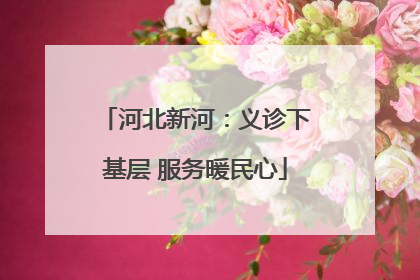 河北新河：义诊下基层 服务暖民心