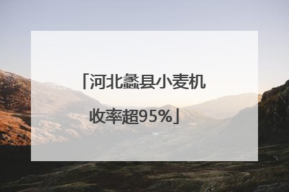 河北蠡县小麦机收率超95%