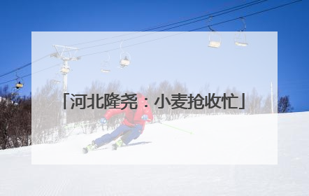 河北隆尧：小麦抢收忙