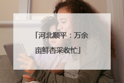 河北顺平：万余亩鲜杏采收忙