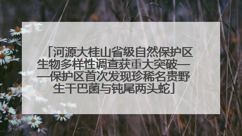 河源大桂山省级自然保护区生物多样性调查获重大突破——保护区首次发现珍稀名贵野生干巴菌与钝尾两头蛇
