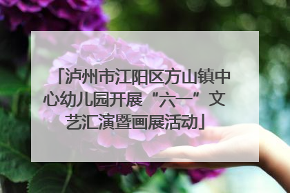 泸州市江阳区方山镇中心幼儿园开展“六一”文艺汇演暨画展活动