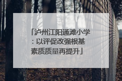 泸州江阳通滩小学：以评促改强根基 素质质量再提升