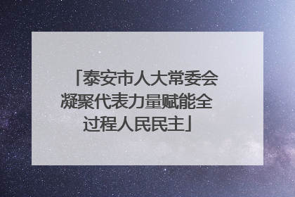 泰安市人大常委会凝聚代表力量赋能全过程人民民主