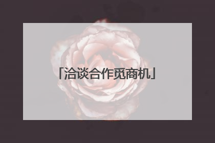 洽谈合作觅商机
