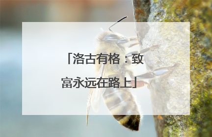 洛古有格：致富永远在路上