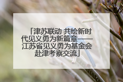 津苏联动 共绘新时代见义勇为新篇章——江苏省见义勇为基金会赴津考察交流