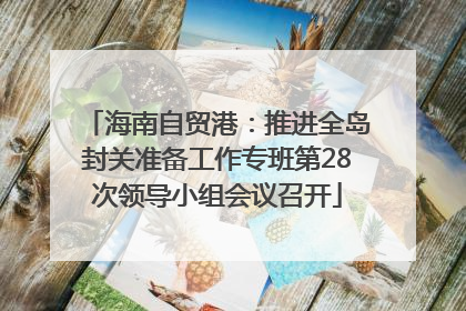 海南自贸港：推进全岛封关准备工作专班第28次领导小组会议召开