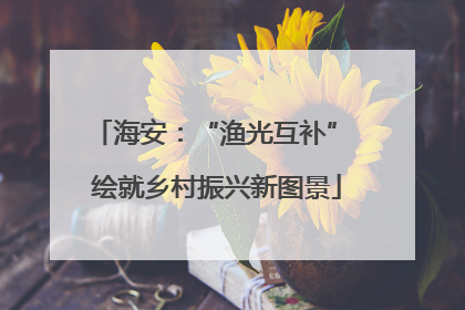 海安：“渔光互补” 绘就乡村振兴新图景