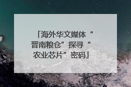 海外华文媒体“晋南粮仓”探寻“农业芯片”密码