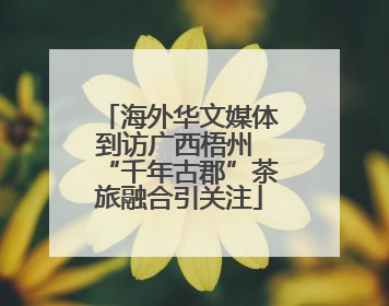 海外华文媒体到访广西梧州 “千年古郡”茶旅融合引关注