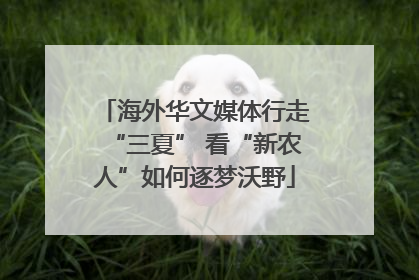 海外华文媒体行走“三夏” 看“新农人”如何逐梦沃野